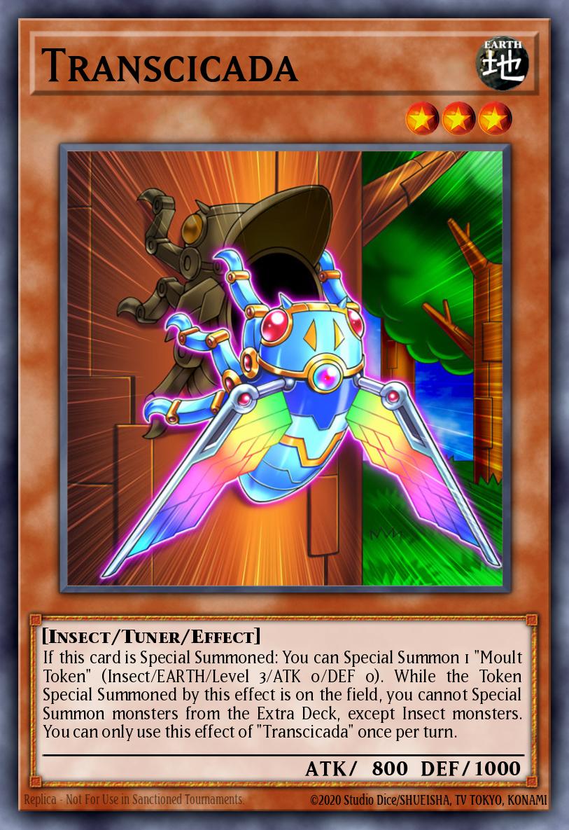 Transcicada IGAS-EN030 – Ignition Assault