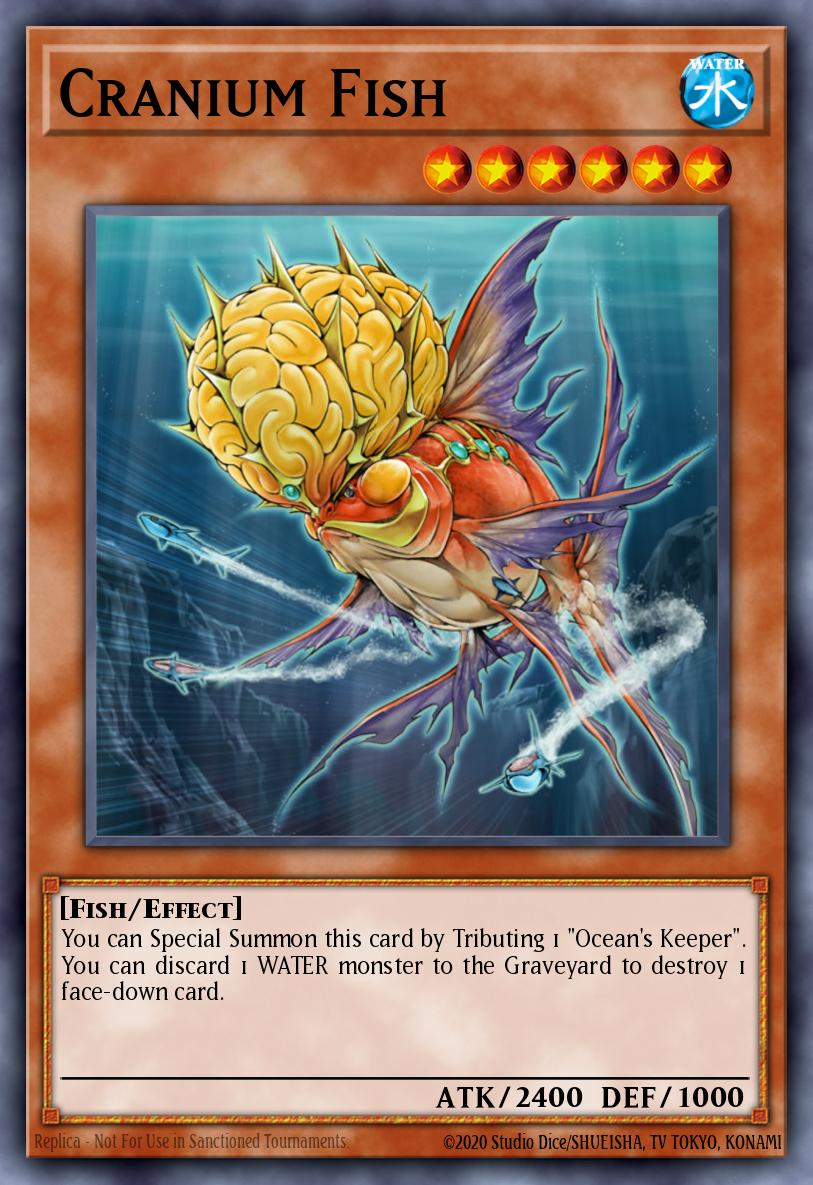 Cranium Fish TAEV-EN083 – Tactical Evolution