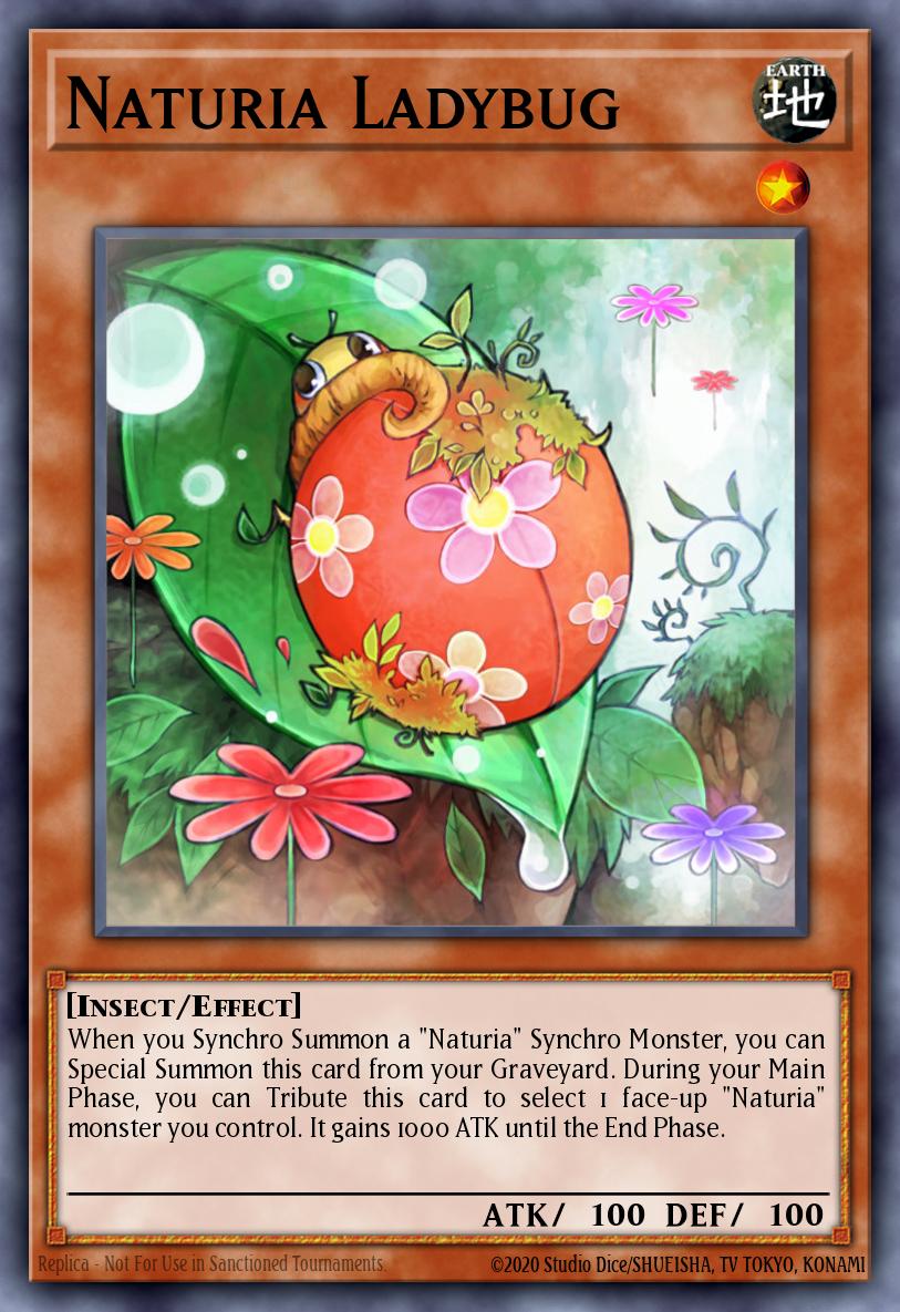 Naturia Ladybug DT04-EN030 – Duel Terminal 4