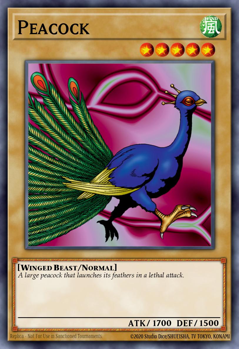 Peacock SRL-EN011 – Spell Ruler