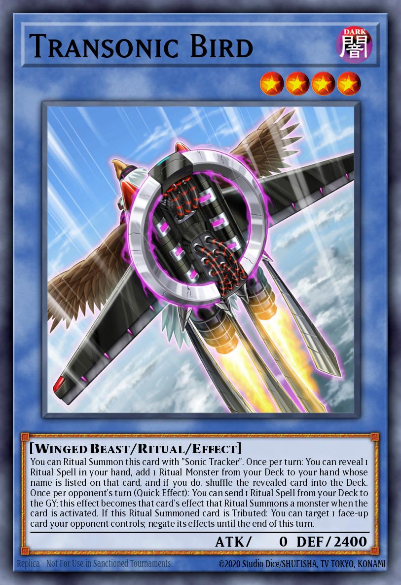 Transonic Bird BODE-EN037 – Burst of Destiny