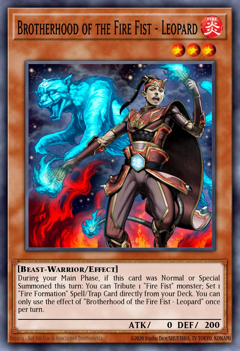 Brotherhood of the Fire Fist - Leopard MP14-EN013 – 2014 Mega-Tin Mega Pack