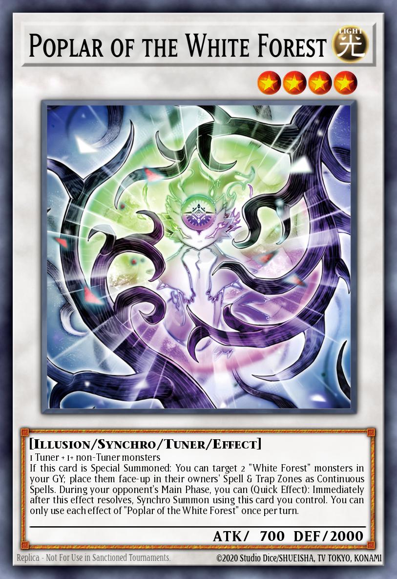 Poplar of the White Forest ALIN-EN041 – Alliance Insight