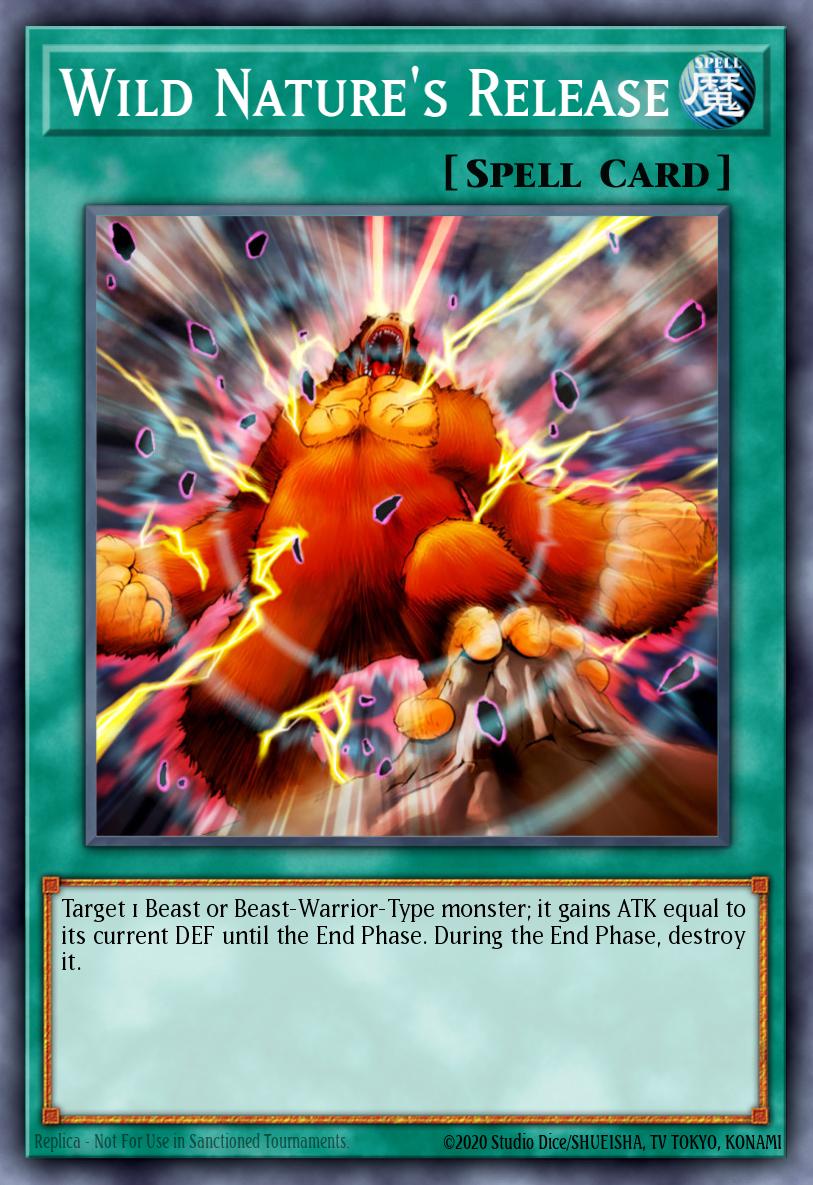 Wild Nature's Release SBCB-EN054 – Speed Duel: Battle City Box