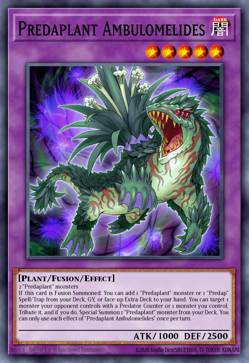 Predaplant Ambulomelides DIFO-EN037 – Dimension Force