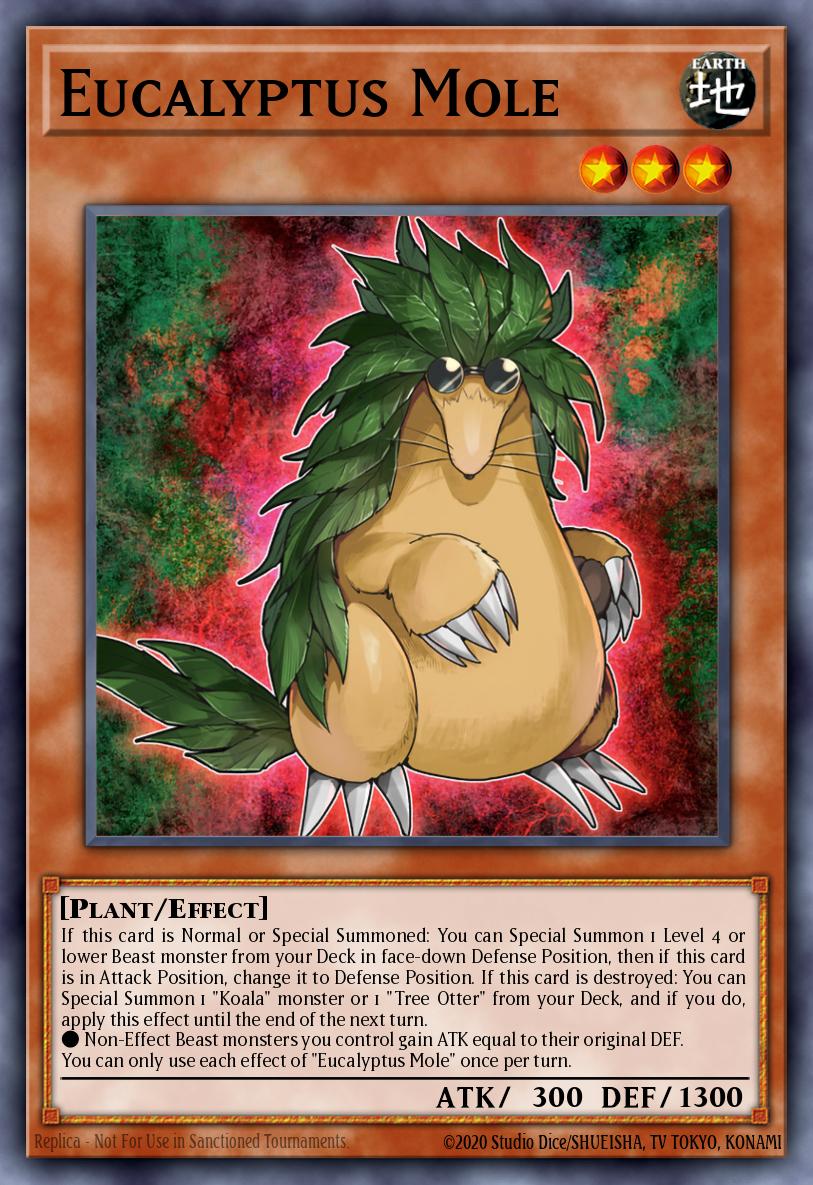 Eucalyptus Mole MZMU-EN021 – Maze of Muertos