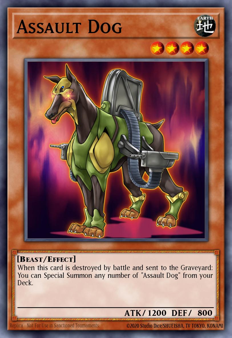 Assault Dog DRLG-EN033 – Dragons of Legend