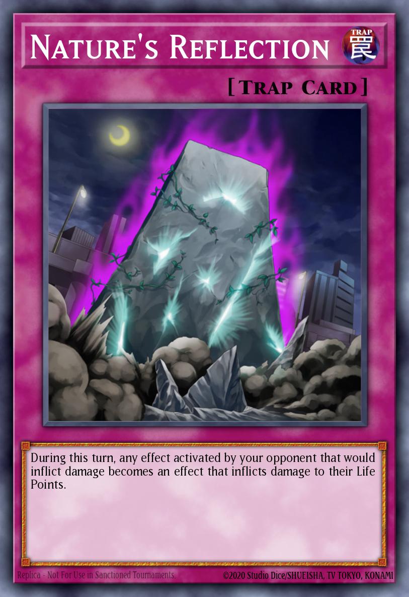 Nature's Reflection ABPF-EN065 – Absolute Powerforce