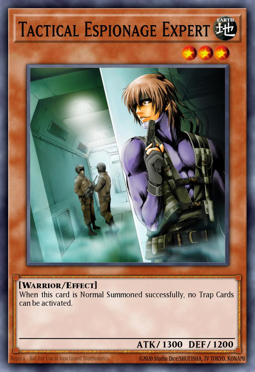 Tactical Espionage Expert RDS-EN023 – Rise of Destiny