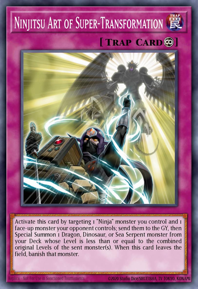 Ninjitsu Art of Super-Transformation SHVA-EN029 – Shadows in Valhalla