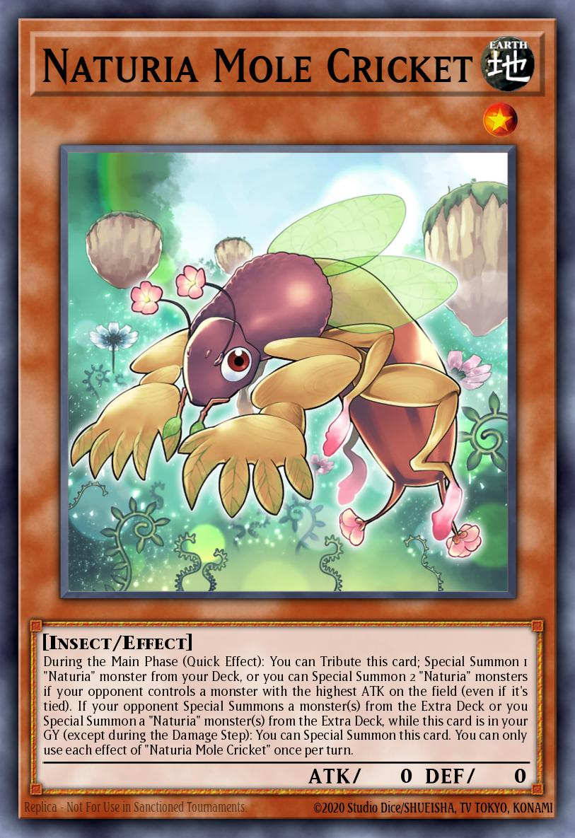 Naturia Mole Cricket DABL-EN020 – Darkwing Blast