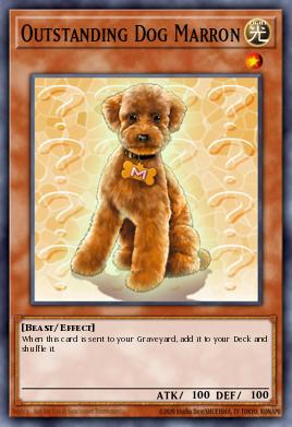 Outstanding Dog Marron OP17-PT014