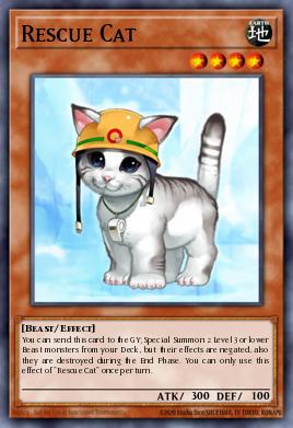 Rescue Cat CP05-EN015