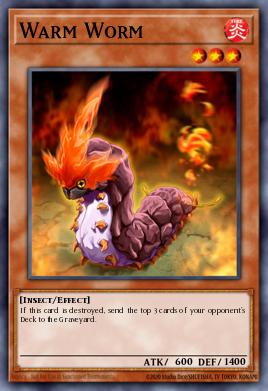 Warm Worm TF04-EN001