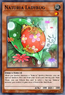 Naturia Ladybug DT04-EN030