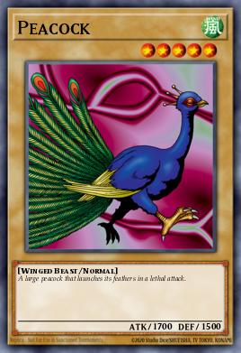 Peacock MRL-011