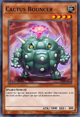 Cactus Bouncer BLLR-EN049
