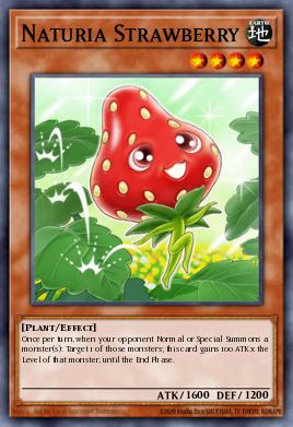 Naturia Strawberry DT04-EN031