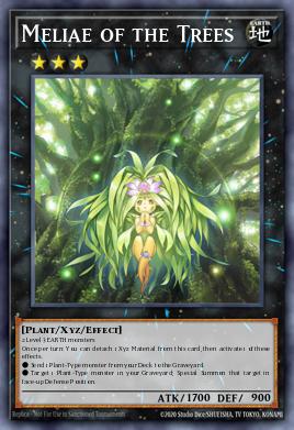 Meliae of the Trees MP14-EN165