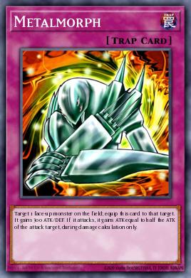 Metalmorph WP11-EN020