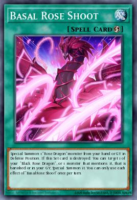 Basal Rose Shoot OP17-PT012