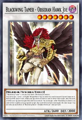 Blackwing Tamer - Obsidian Hawk Joe PGL2-EN012