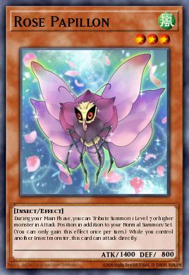 Rose Papillon MP24-EN250