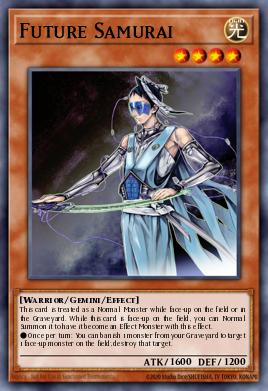 Future Samurai SDWS-EN014